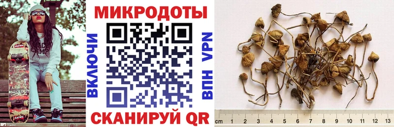 купить   Крым  Псилоцибиновые грибы прущие грибы 