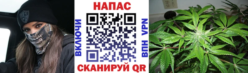 Канабис планчик  где купить наркоту  OMG ТОР  Крым 